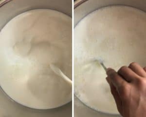 milk & starter mixed together in instant pot