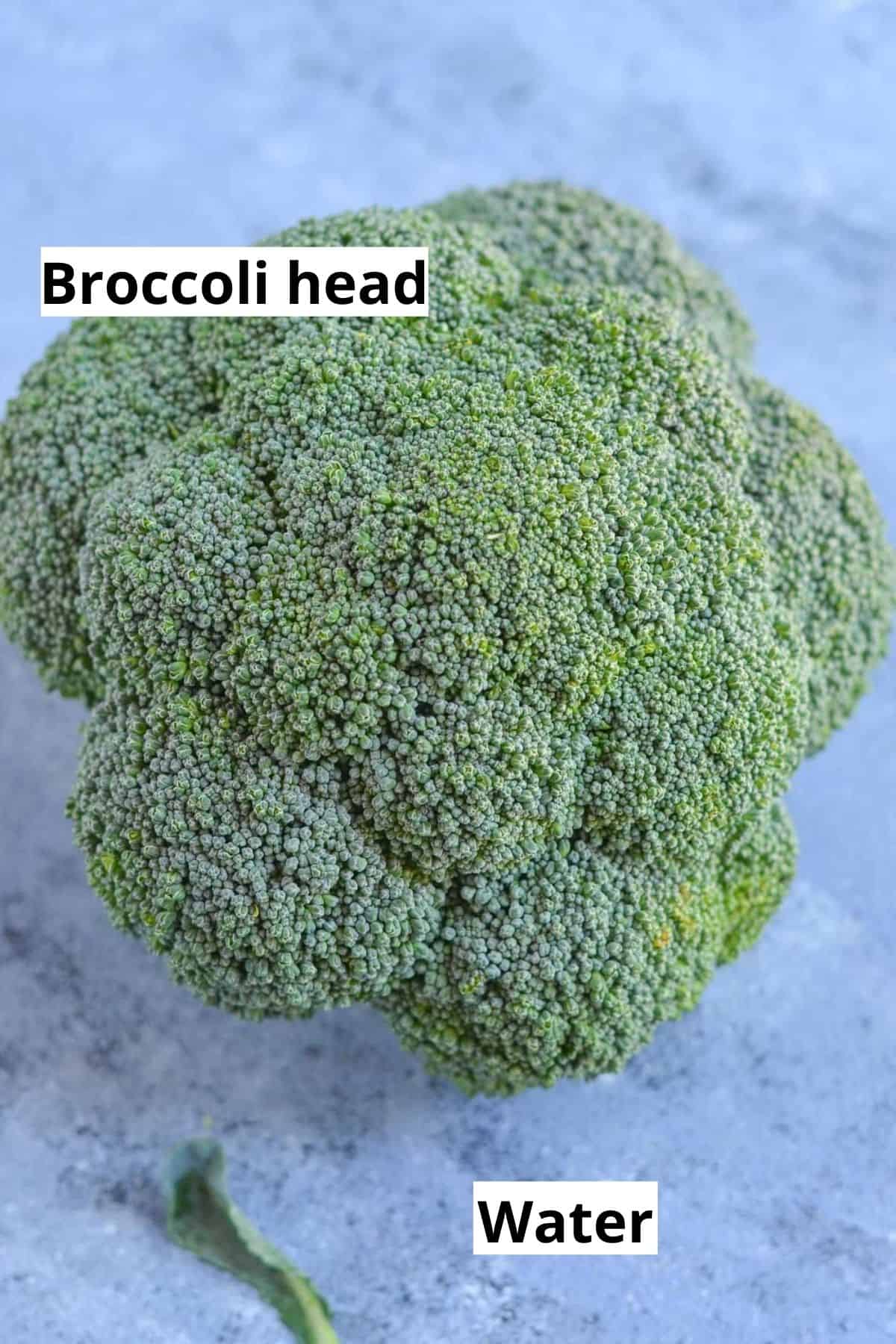 broccoli head is shown on the sky blue wooden board.